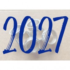 2027 Rings Set of 6