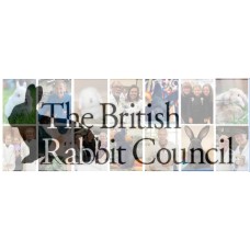 2026 Membership Renewal